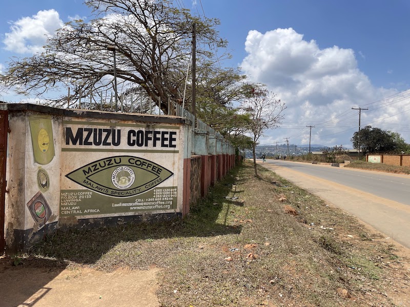 mzuzu-coffee